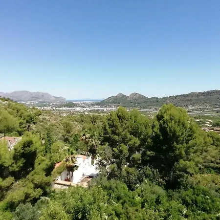 El Angelito De Olivas Pedreguer